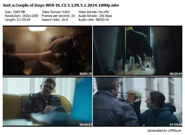 Jen na pár dní / Quelques jours pas plus (2024)