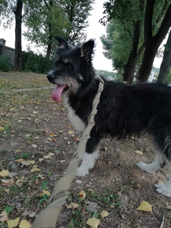 65AE0617-51D3-431A-A6AE-AD22583FC229