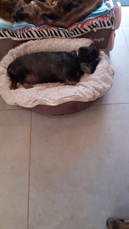 [Image: IMG-20251218-WA0006.jpg]