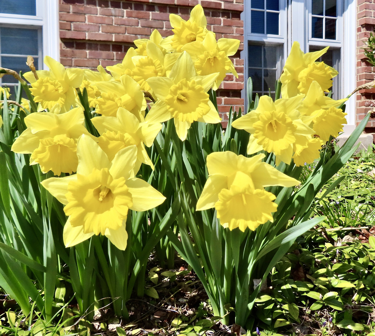 662740930-4220299478282003-6823003728934709768-n