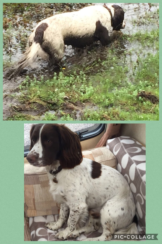 03FAF769-DA63-4767-B982-51800EA7F00B