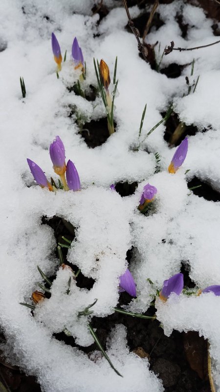 изображение_viber_2025-02-03_11-28-49