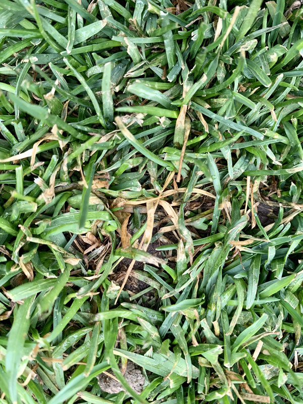 CD1E5A90-698F-490B-9373-067701EFA658