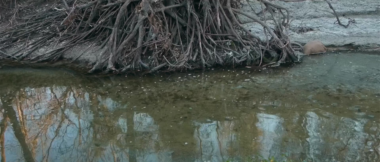 Upstream Color (2013) (1080p BDRip x265 10bit DTS-HD MA 5.1 - HxD) [TAoE].mkv_20200728_100117.440