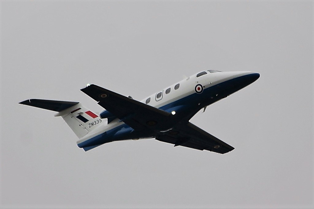 IMG_8138 (3) - Copy - Copy - Copy