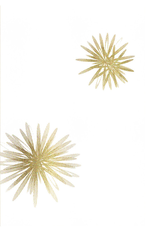 валет мультивариантных борщей рубашка