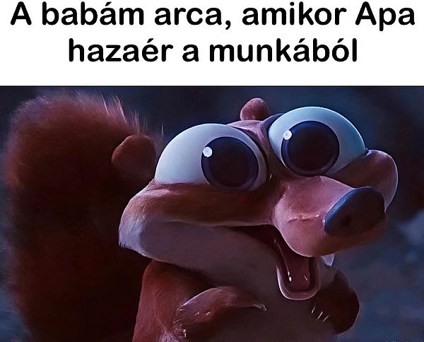 https://i.postimg.cc/kMx2BFYK/a-babam-arca.jpg