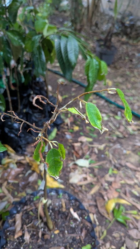 PXL_20250403_000408465