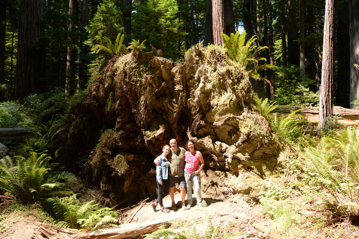 Árboles gigantes, fuegos y volcanes extintos - Oregon y California norte (2018) - Blogs de USA - Rogue River y costa norte de California (37)