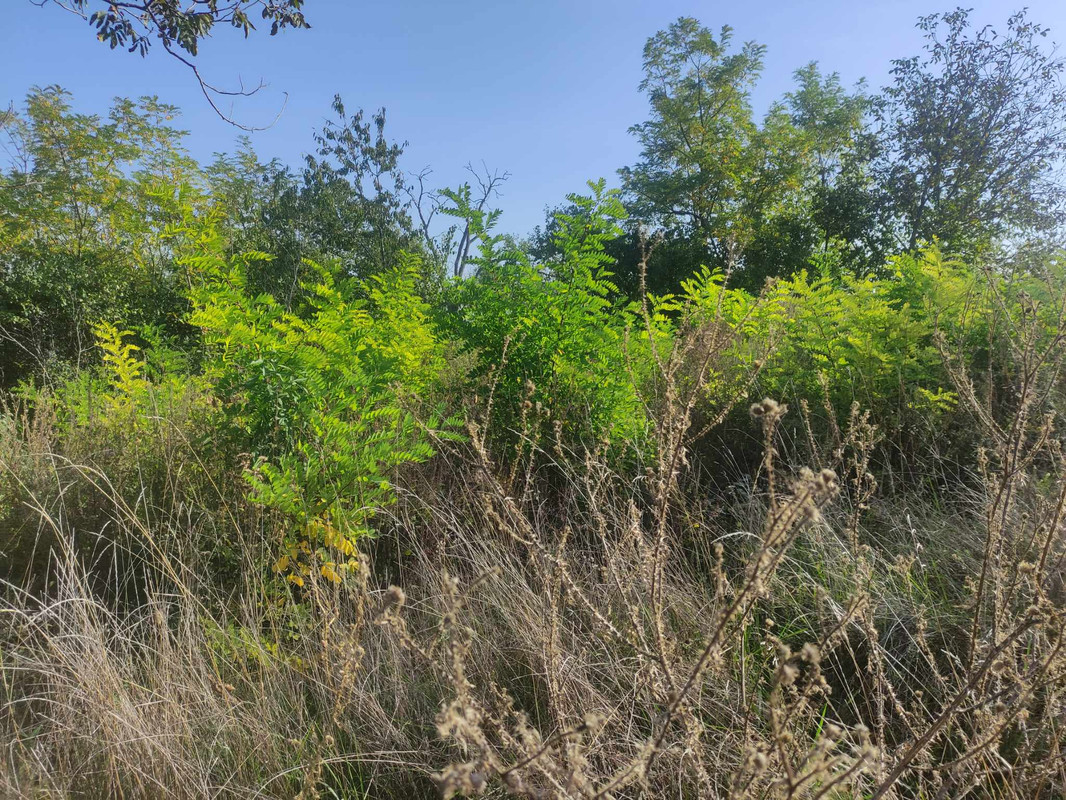 380619247_332754889432491_7617830922239869155_n