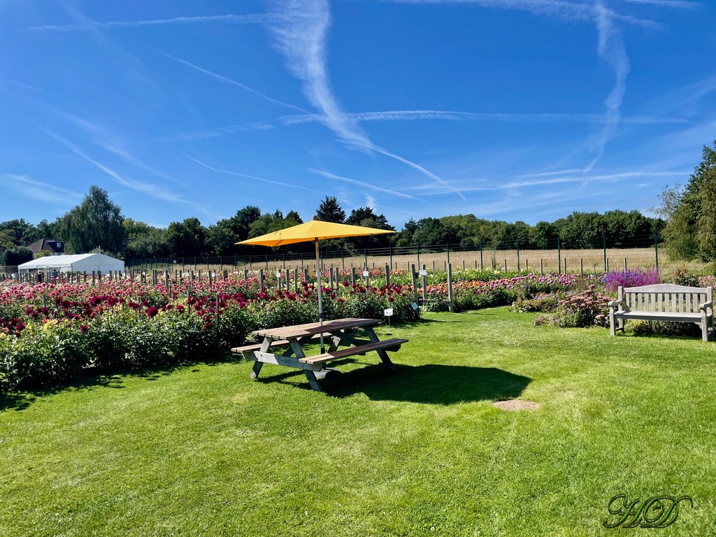 Bench-parasol-HD.jpg