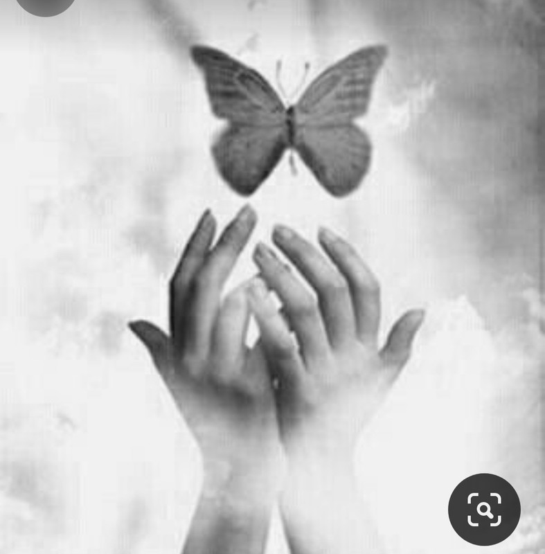 Screenshot_20240330_215611_Pinterest