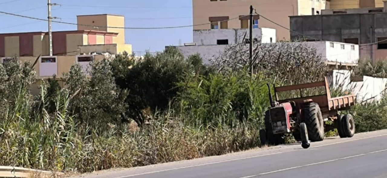 received-2004443260100274