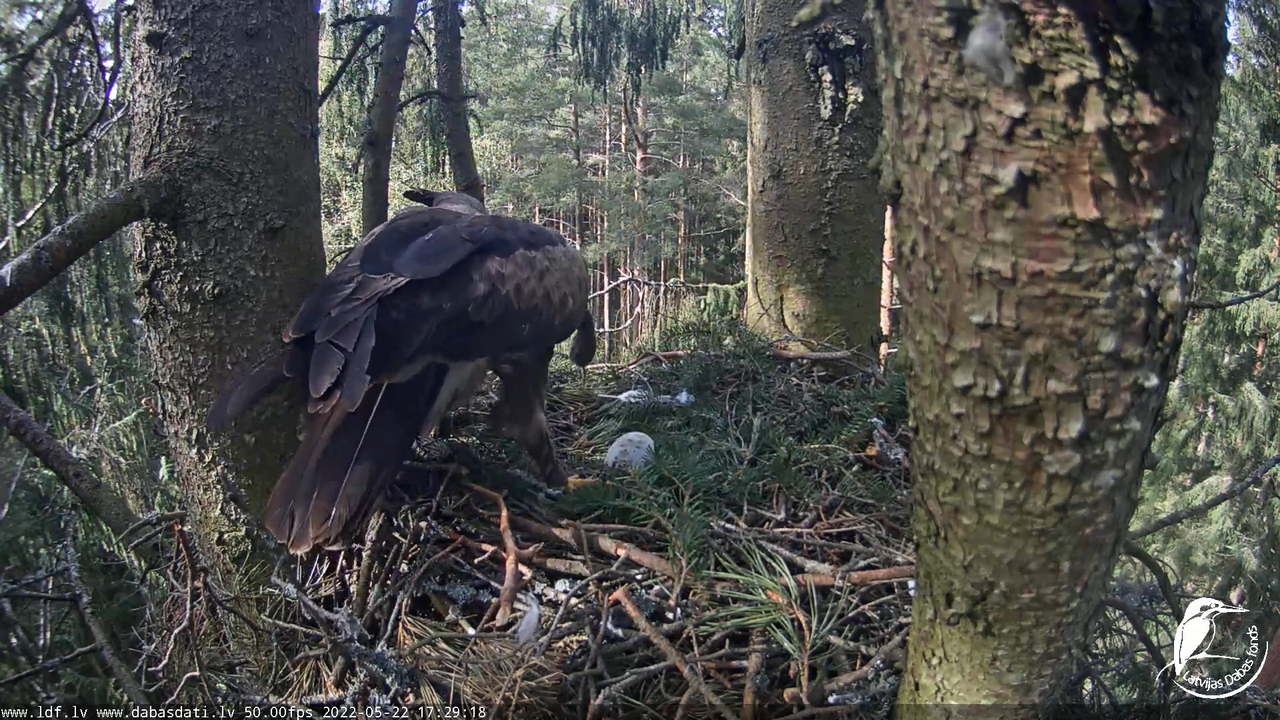 attēls_2022-05-22_173453594