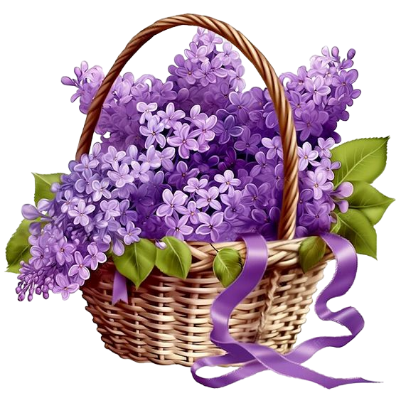 758b7789f607862ba38519787735e88f-Photoroom-png-Photoroom