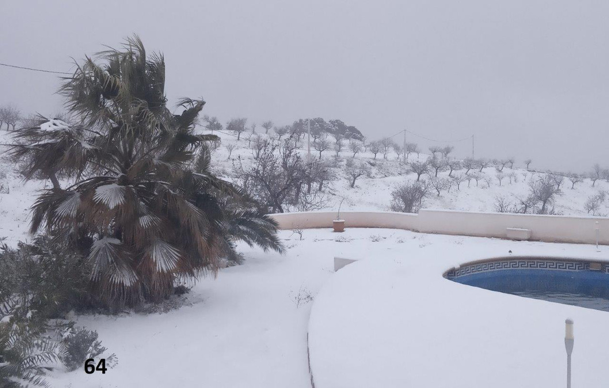 64 AL2963450392489393610