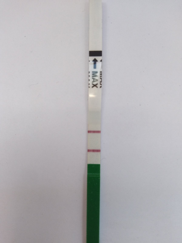 Img 20200622 113807 Postimages