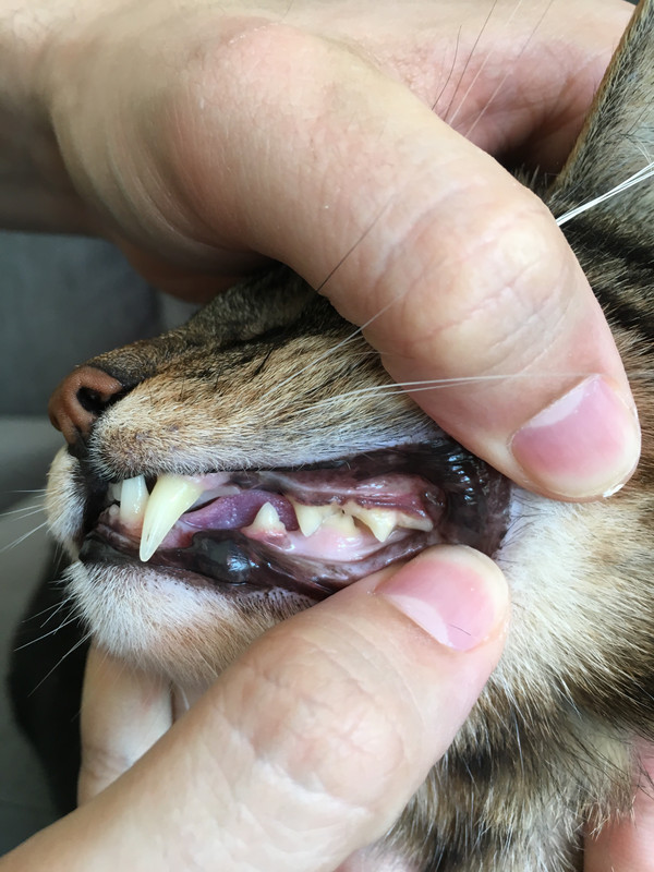 D00CC6C3-1B35-4D55-8A27-EA9523325F4D