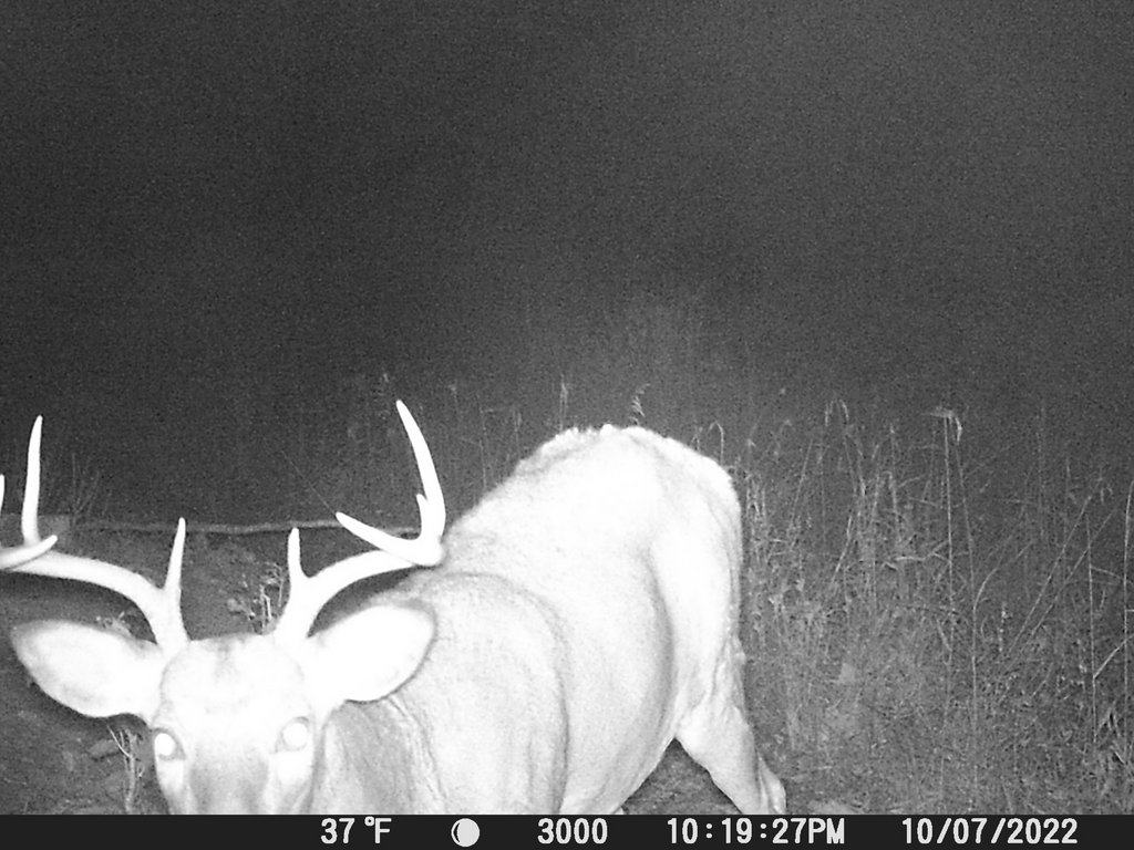 3CB01E32-102D-4FFB-90DE-ED70CE0E47F8