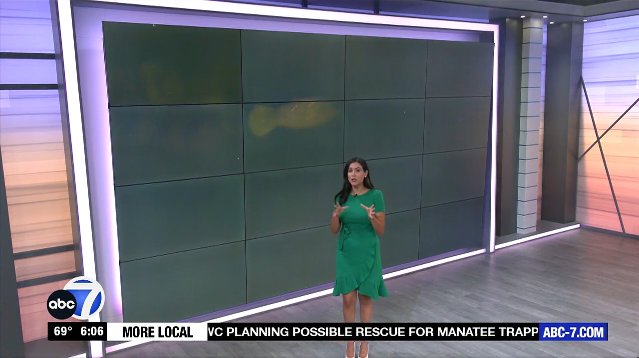 Abc7 More In The Morning Wkn 6Am Su 20240317 10001100-1.mp4_snapshot_07.10.264