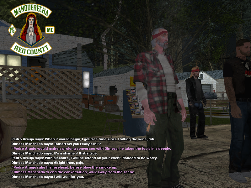 SSRoleplay382.png