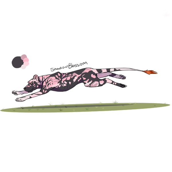 My Art Shop Lioden my-art-shop-lioden