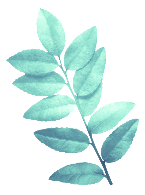 WINTER LOVE_DBJ-ELEM (12)