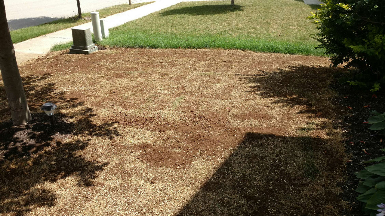 IMG_20170812_124242036