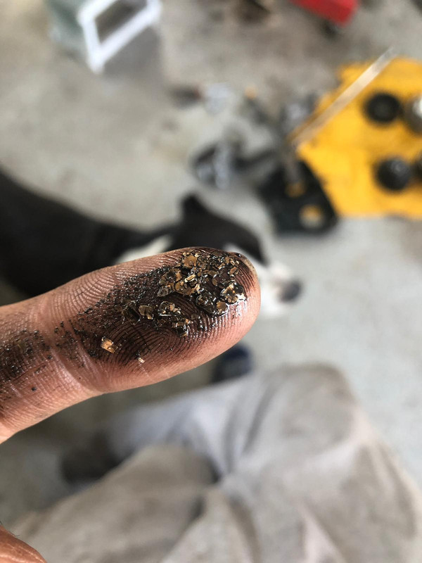 WhatsApp Image 2019-04-04 at 10.07.19 (1)