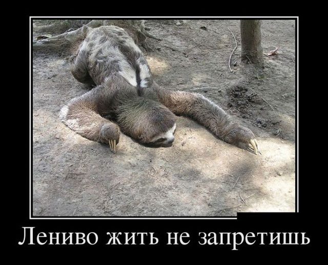 Легко рождаются желанья, но их мешает лень вершить