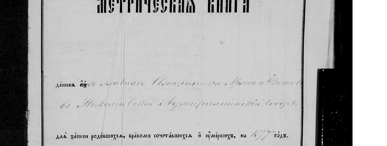 Без названия (81)