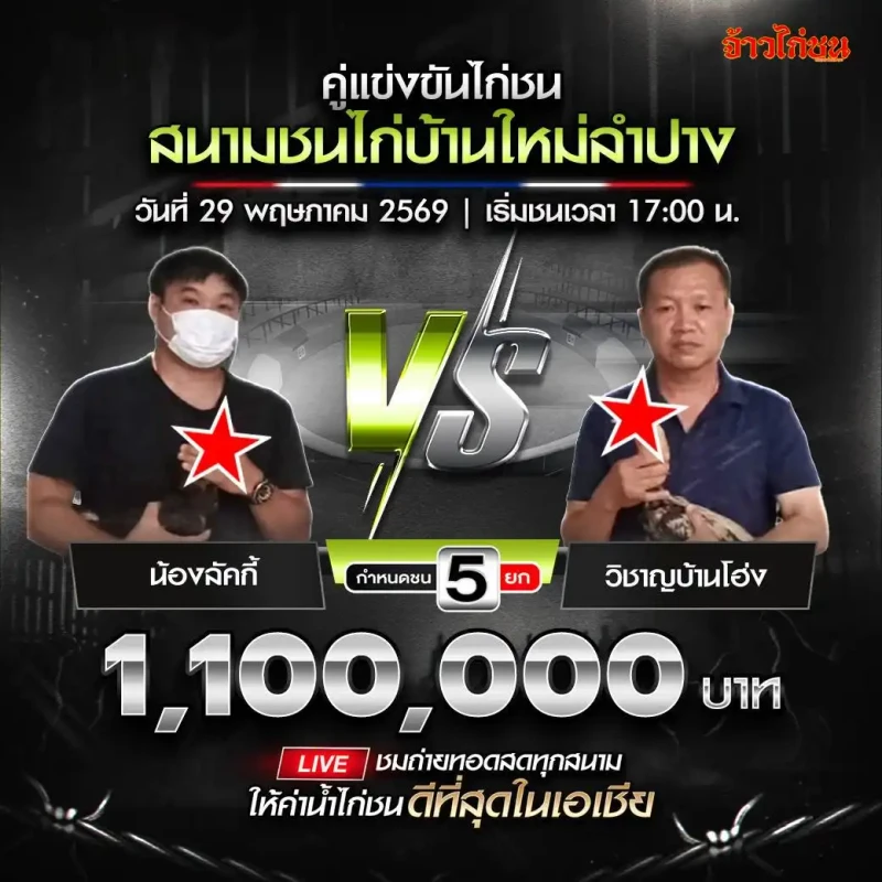 น้องลัคกี้ vs วิชาญบ้านโฮ่ง โปรแกรมไก่ชน สนามชนไก่บ้านใหม่ลำปาง วันที่ 29 พฤษภาคม 2569