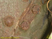 DSC03739