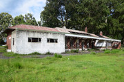 DSC-0005