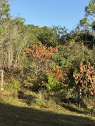 IMG-1794