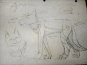 IMG_20210624_031055_kindlephoto-53227947