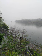 69af9baegy1ibfse0ogf3j20u014043x