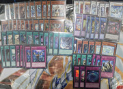 blue-eyes primite (6)