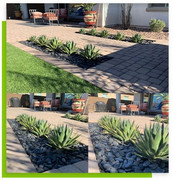 Professional installaton astro turf Mesa, AZ