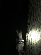 BE69911F-5CE8-4EE3-97C3-40CC928BA48A