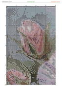 2890426-crosti-ru-color-3