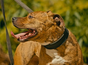 Screenshot_20230708_154735_Gallery