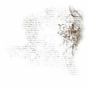 tumblr_6e2912e533ecac23cfc6fa3a7b21f9aa_179de8c2_250