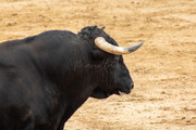 IMG-0186