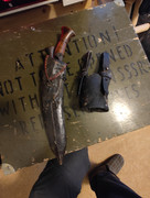 IMG_20250228_080952061