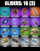 gliders-comp