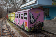 IMG-3856