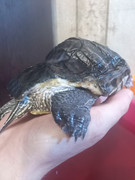 IMG_20250921_210602_5CS