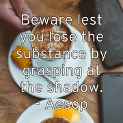 beware-lest-you-lose-the-substance-by-grasping-at-the-shadow-aes