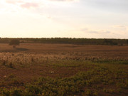 Teknival BG 2013 (108)